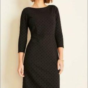 Ann Taylor LBD with velvet dot accent! (NWT - size 10)